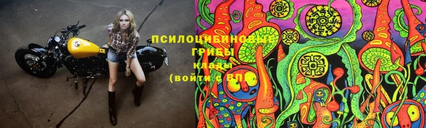 дживик Волосово