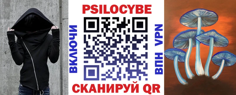 Псилоцибиновые грибы Psilocybe  Купить  Энем 